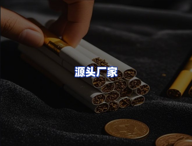 专业团队